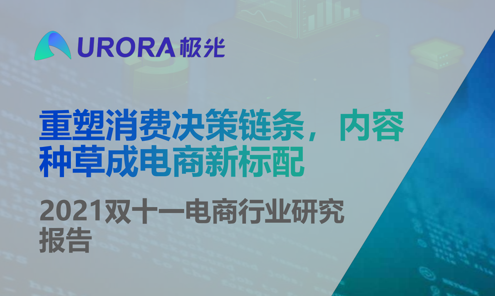 2021双十一电商行业研究报告