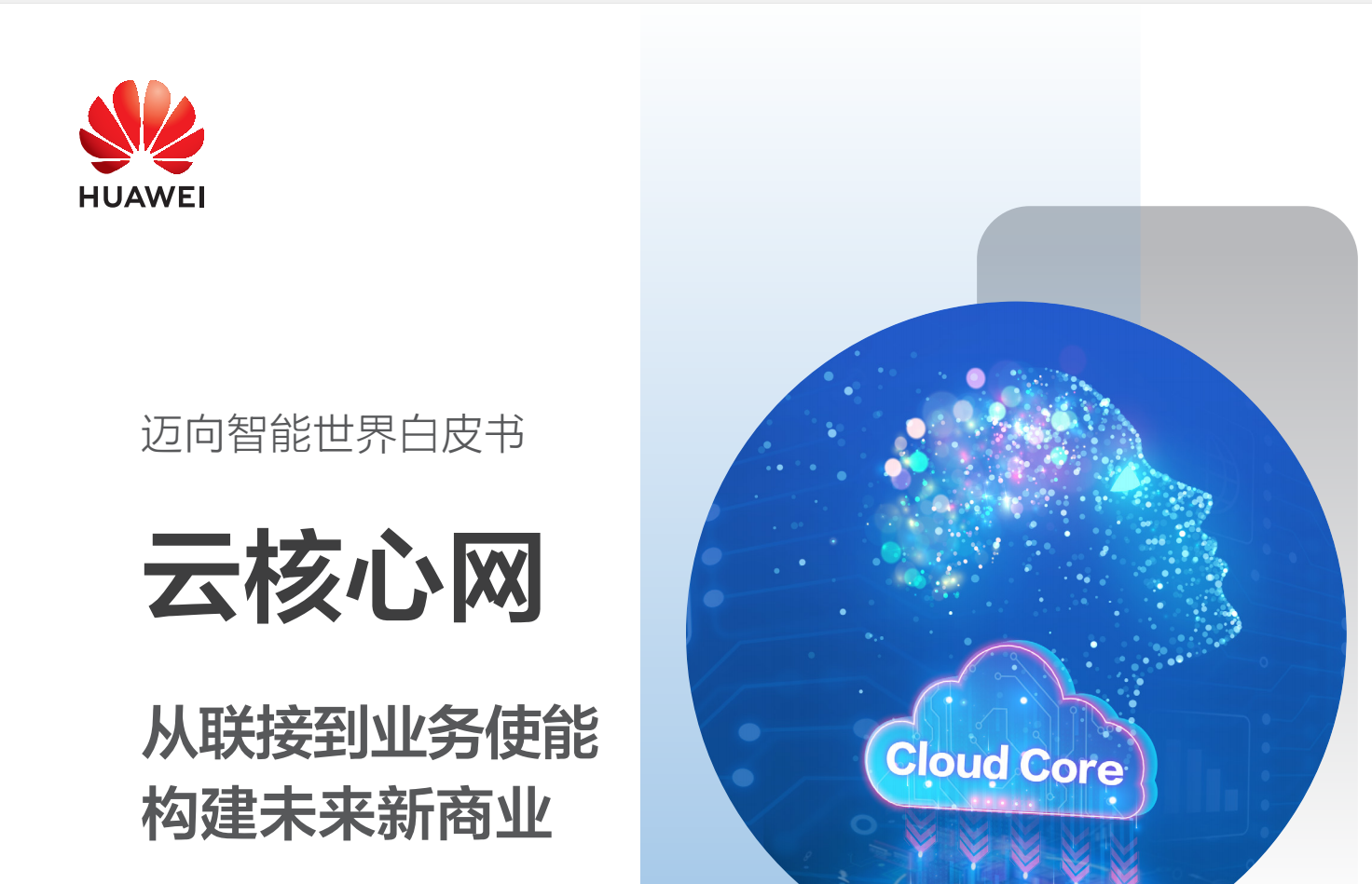 迈向智能世界白皮书-云核心网